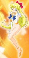 sailor_moon_20110626_117.jpg